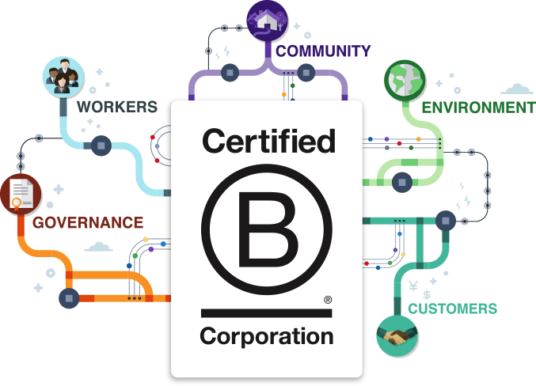 What Is A B Corp? And Will It Ever Matter To Consumers? - Transition Earth